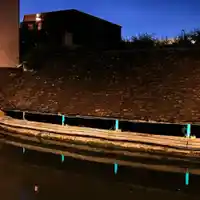 Bioluminiscent light